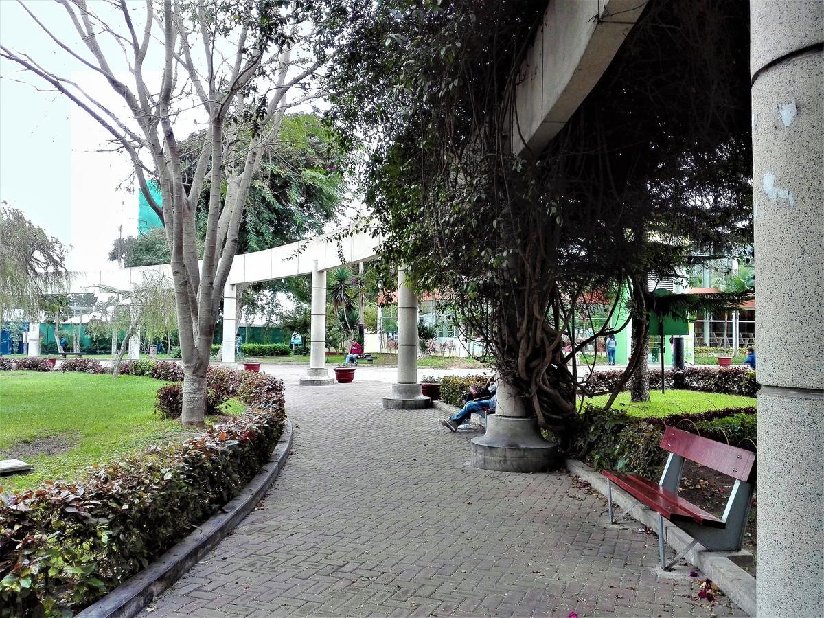 Los Q'Eros Distretto di Distretto di Lima Esterno foto